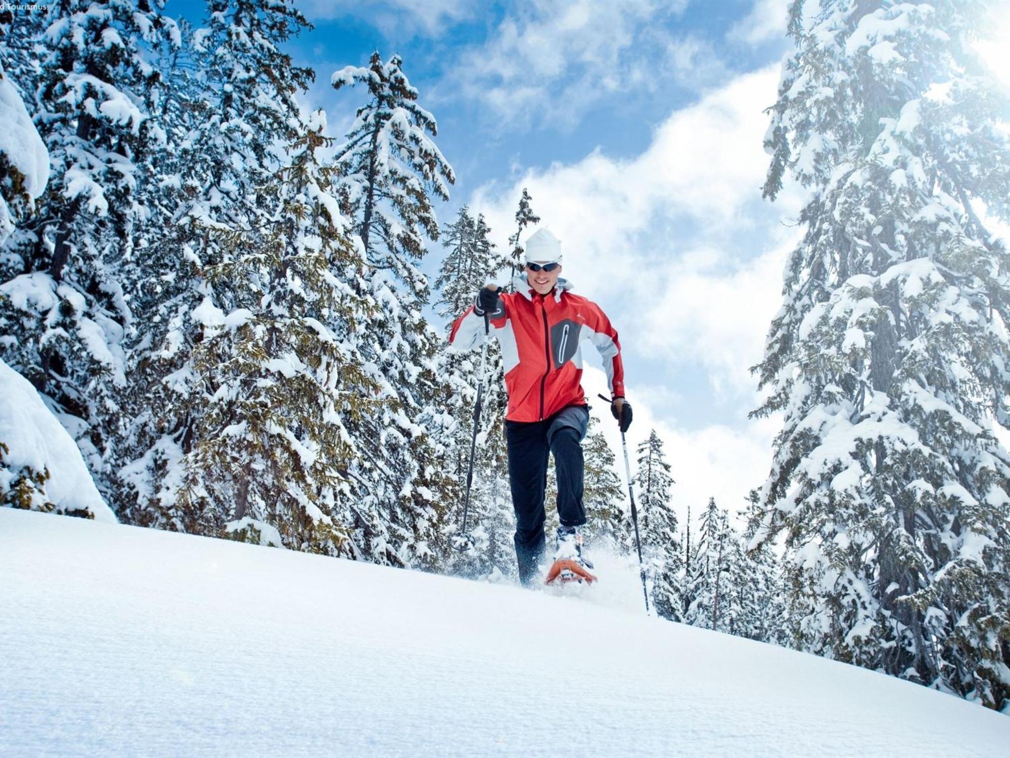 Chalet Huski Viehhofen ザールバッハ・ヒンターグレム エクステリア 写真